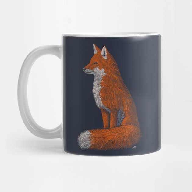 Red Fox by Walking in Nature